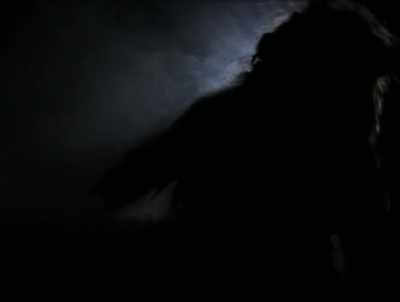 It seems to be there's - American Werewolves
