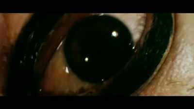 It seems to encompass
our whole film tradition. - All the Colors of Giallo