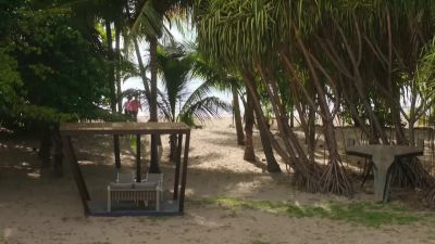 It seems we have company. - Death in Paradise