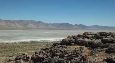 It seems to indicate that - Alien Worlds: Giants and Hybrids