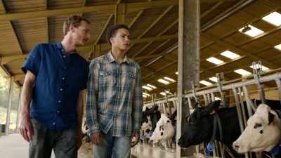 It sends them to be milked or fed. - Being 17