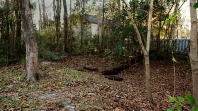 It is set in the woods
and it has multiple buildings, - Floribama Murders