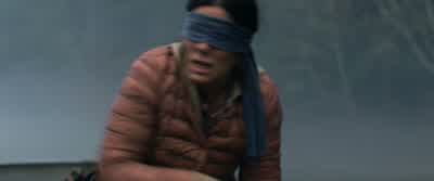 It shall cleanse the world! - Bird Box
