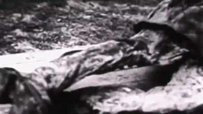 It shows that the Soviet Union - KGB - The Sword and the Shield