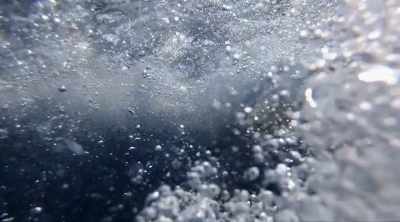 It sinks its teeth into Caleb once
again before retreating for good. - Shark Attack Files