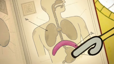It sits between the stomach area
and the chest. - StoryBots: Answer Time