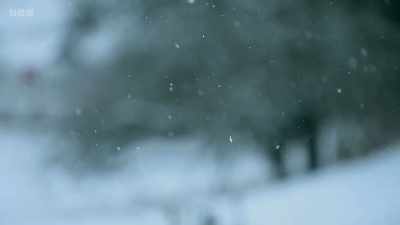 It was snowing and... - Once Upon a Time in Northern Ireland