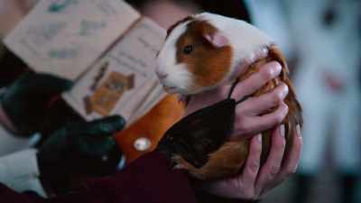 It is so lovely to meet you.
Squeak squeak. - Scaredy Cats