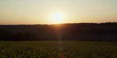 It is so
that we might uncover - Widow Clicquot