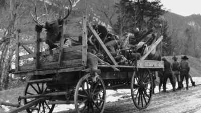 It was sort of
destruction after destruction - The American Buffalo