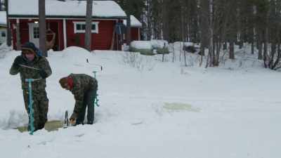 It sounds crazy
and it might look crazy but actually - Wild Nordic