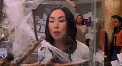 It spins an intricate funnel shaped web whose strands have a tensile strength, proportionately equal to a type of high tension wire used in bridge building. - Spider Man