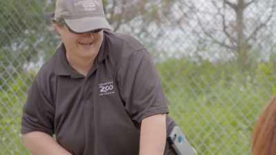 It stinks when we lose
an animal, it's very, very hard, - Secrets of the Zoo