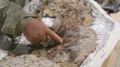 IT SURE LOOKS LIKE IT.
ALWAYS EXCITING BECAUSE, - Dino Hunters