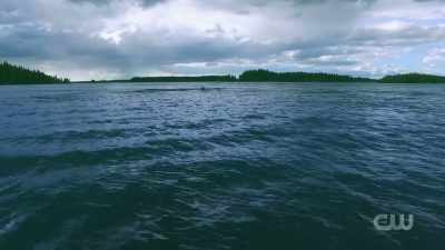 It was swimming alongside - Mysteries Decoded