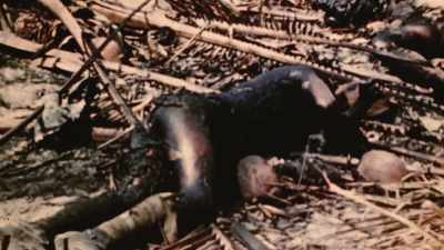 It takes three
days of hard fighting, - The Pacific War in Color