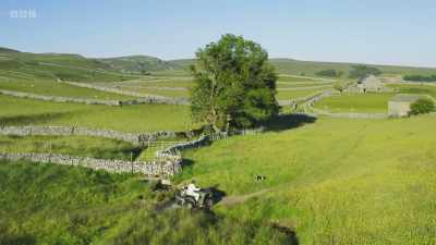 It was that Limestone Country
Project that changed our whole - Wild Isles