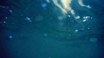 It is the bermuda triangle
of the pacific, - Mysteries of the Deep