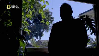 It was the CIA that introduced
LSD to the United States. - America's War on Drugs
