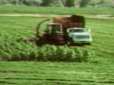 It was the cutting-edge
of environmentally conscious, - Wild Wild Country