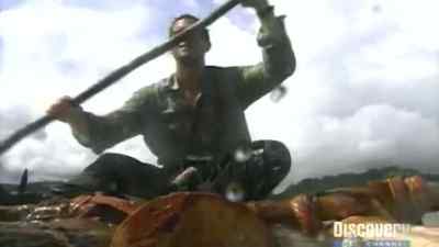 It is the first living thing
I can take this jungle. - Man vs. Wild