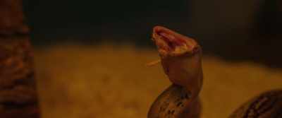 It was the kindly old serpent
who saved us from that fate. - Souvenirs