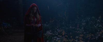 It was the most brutal winter I could remember - Red Riding Hood
