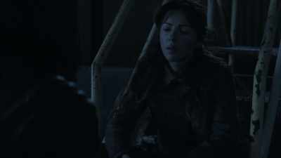 It was the night
the sky fell. - The Walking Dead: World Beyond