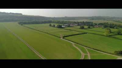 It is the
week before Royal Ascot - Horsepower