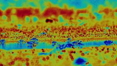 It then combines vertical
and horizontal polarisation - Attenborough's Life in Colour