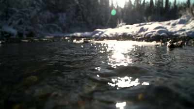 It told the story about
Christopher McCandless, - Life Below Zero: Next Generation