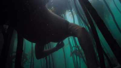 It took going in every day to really
get to know her environment better. - My Octopus Teacher