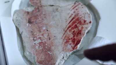 It truly has taken us years - Lost Treasures of the Maya
