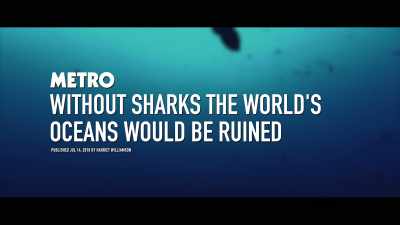 It turned out sharks
were just as important - Seaspiracy