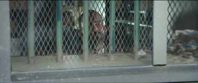 It used to be a jail.
Prisoners killed themselves. - Goon: Last of the Enforcers