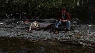 IT WAS A LONG, LONELY NIGHT. - The Bears and I