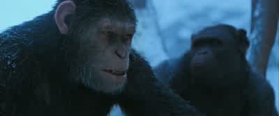 It was a mistake bringing you all. - War for the Planet of the Apes