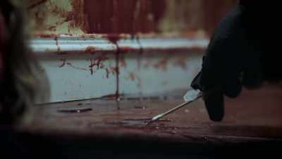 IT WAS CLEAR FROM
HER BLOOD ANALYSIS - An American Murder Mystery: The Staircase