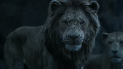 It was me. - The Lion King