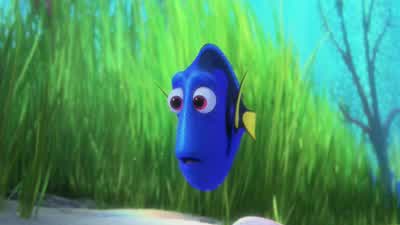 It was my fault. - Finding Dory