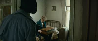 It was open? - Fantastic Beasts and Where to Find Them