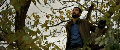 It wasn't a problem before, - The Wild Pear Tree