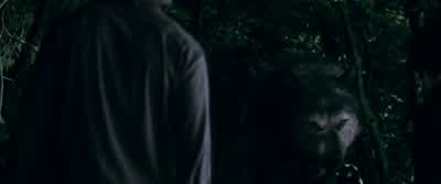 It wasn't exactly an easy alliance. - The Twilight Saga: Eclipse
