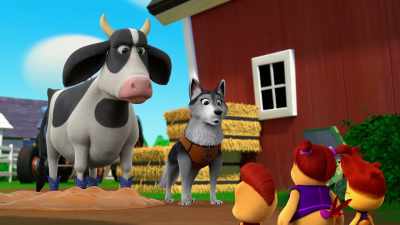 It wasn't just us.
We had help from everyone. - The Chicken Squad