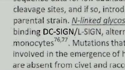 It wasn't until the diffuse proposal mentioned - Thank You Dr. Fauci