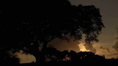 It wasn't till later
in the evening - Floribama Murders