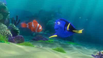 Oh oh oh It went this wayIt went this way Follow meThank you Thank you thank you so muchNo problemHeyWaitWill you quit it WhatI'm trying to swim here Ocean isn't big enough for youYou got a problem buddy Huh HuhDo you Do you You want a piece of meOoh I'm - Finding Nemo