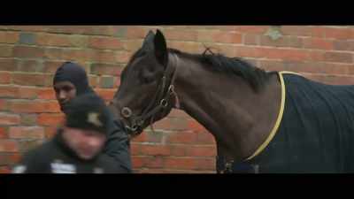 It will be bleak and it'll
probably be very cold - Horsepower