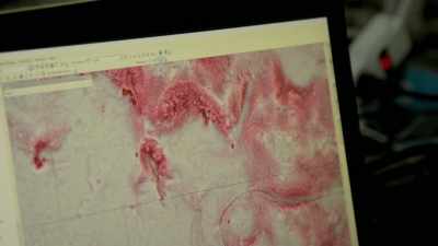 It will be great to see really, won't it,
if there's these strong links between - Lost Treasures of the Maya