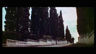 'It will be the only film
he ever completes as a director. - The Final Game of Death